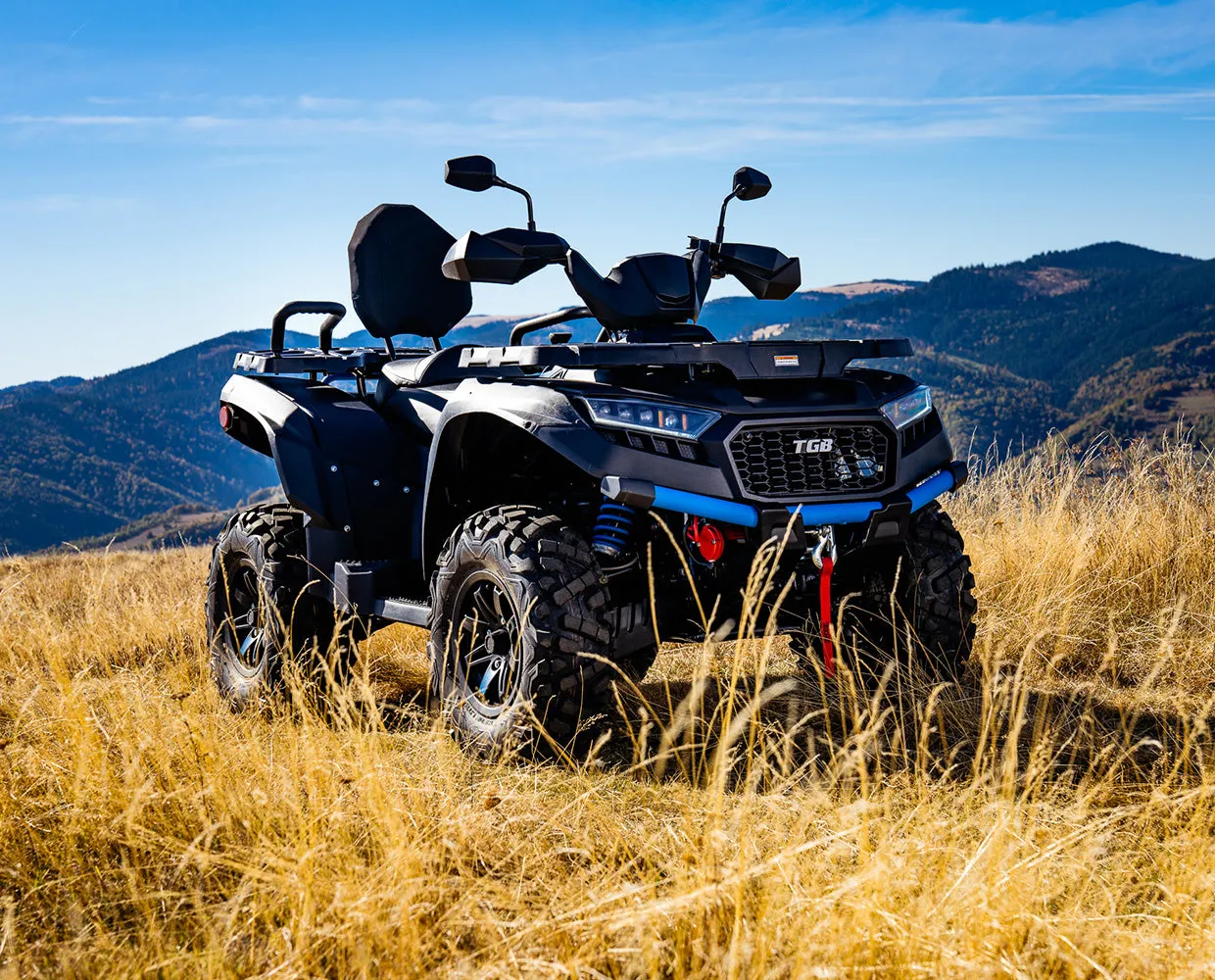 Blade LTX 600 (561 cc) heavy duty extended frame ATV. Fully Assembled. 4 wheel shaft drive, Power Steering, Programmed Fuel Injection, 2 Speed Automatic transmission. Ship to your home via car carrier