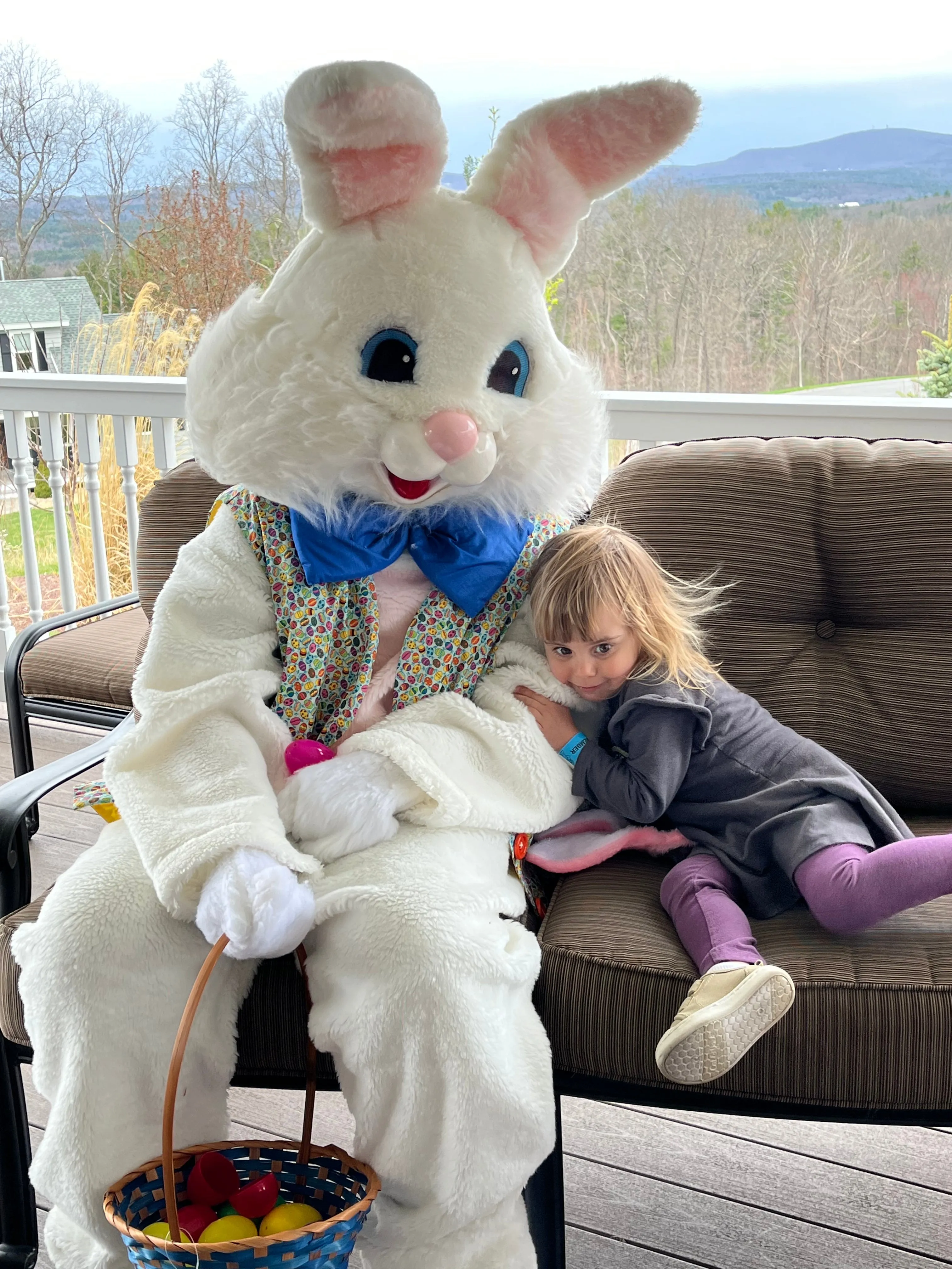 Easter Bunny Costume Rental / Friendly Bunny / Professional