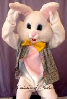 Easter Bunny Costume Rental / Friendly Bunny / Professional