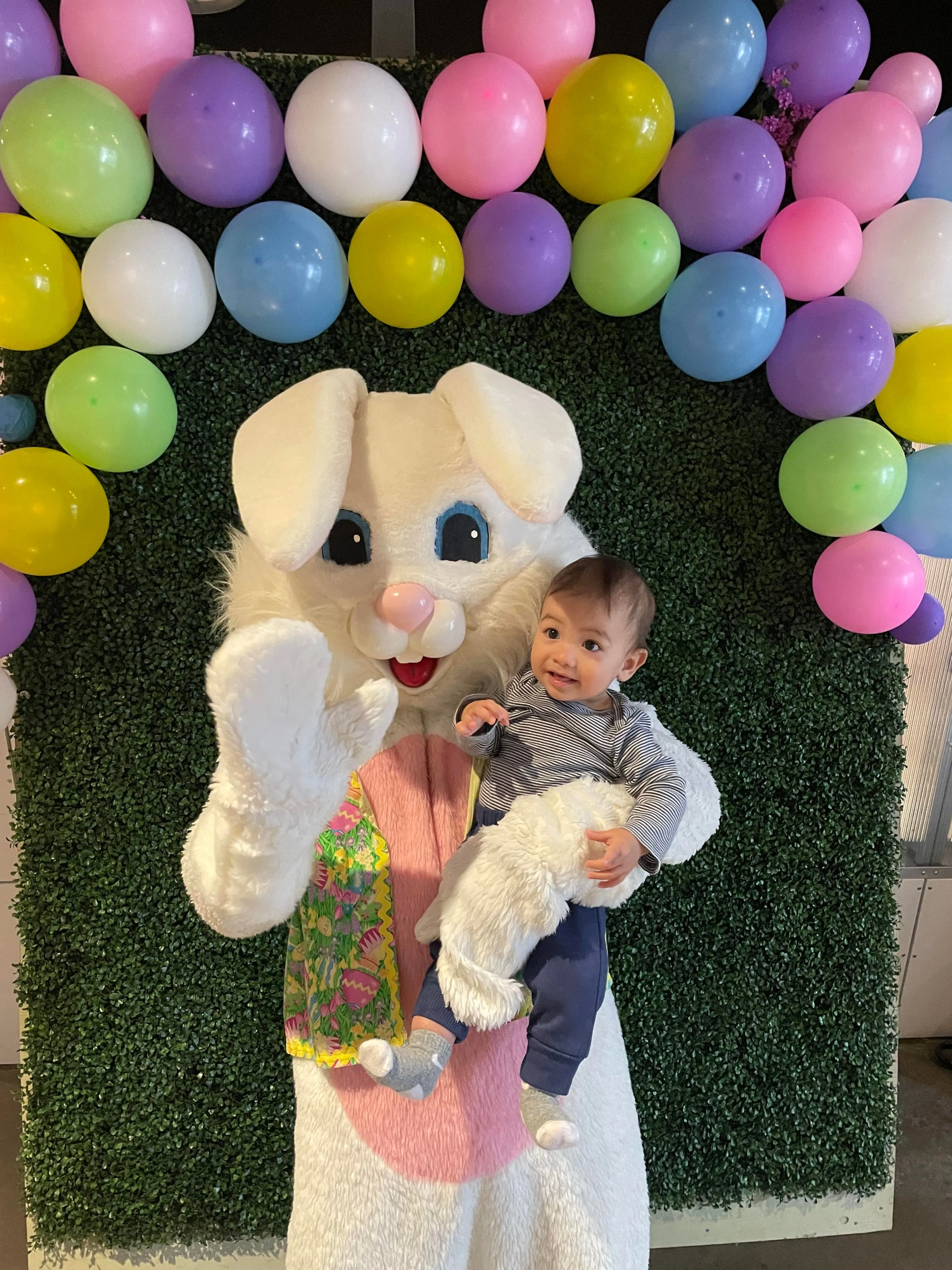 Easter Bunny Costume Rental / Friendly Bunny / Professional