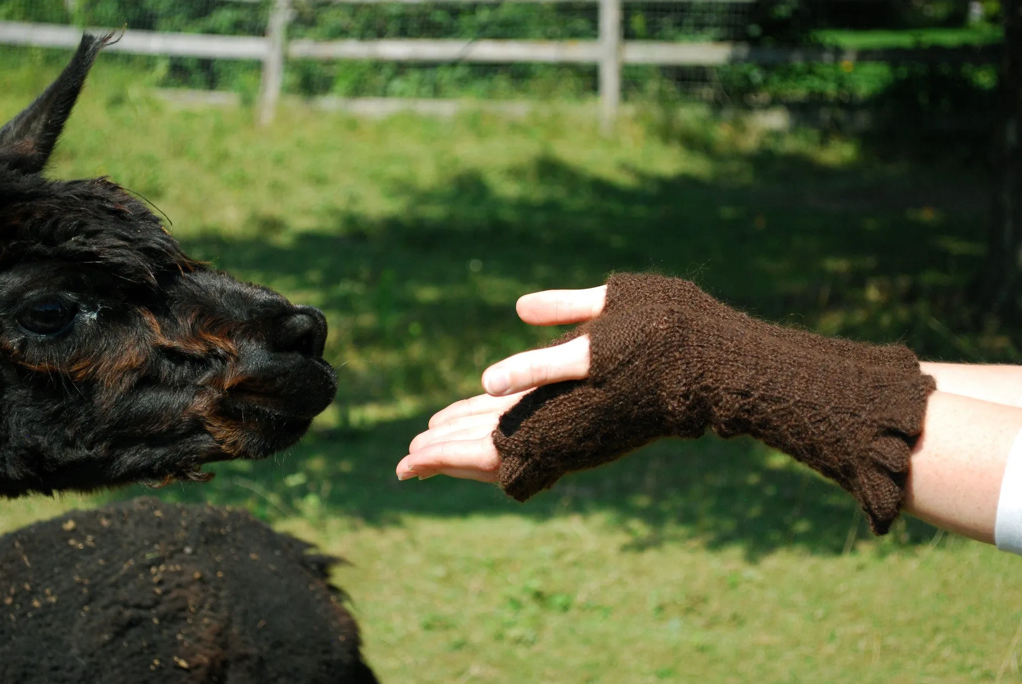 Filetage Fingerless Gloves Pattern (PDF) - Knitting Pattern by Phibersmith Designs