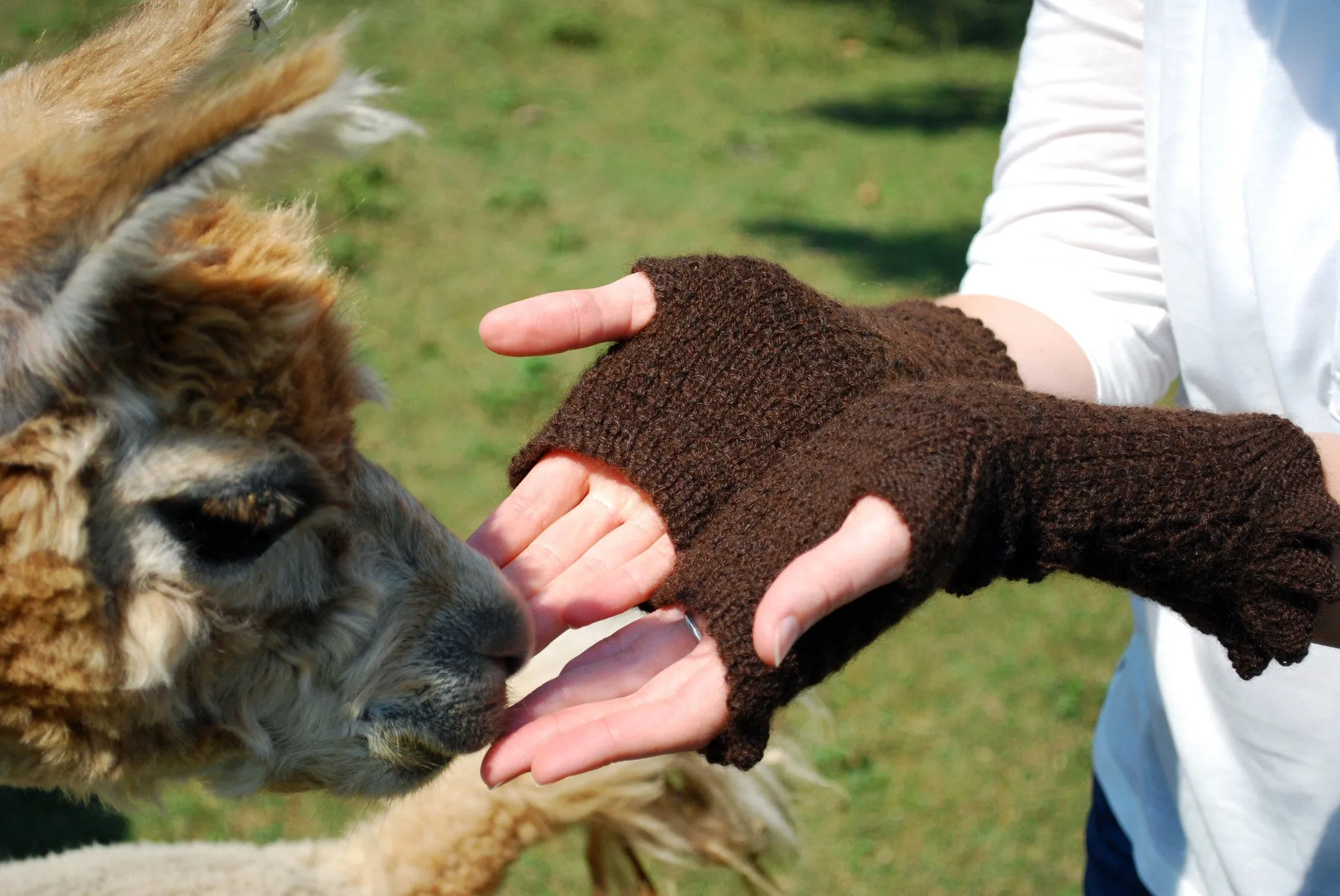 Filetage Fingerless Gloves Pattern (PDF) - Knitting Pattern by Phibersmith Designs