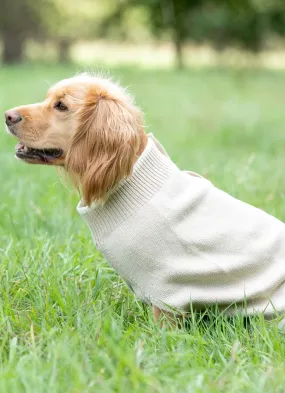 Knitted Dog Jumper - Beige