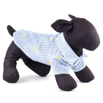 Light Blue Stripe Rubber Duck Dog Shirt