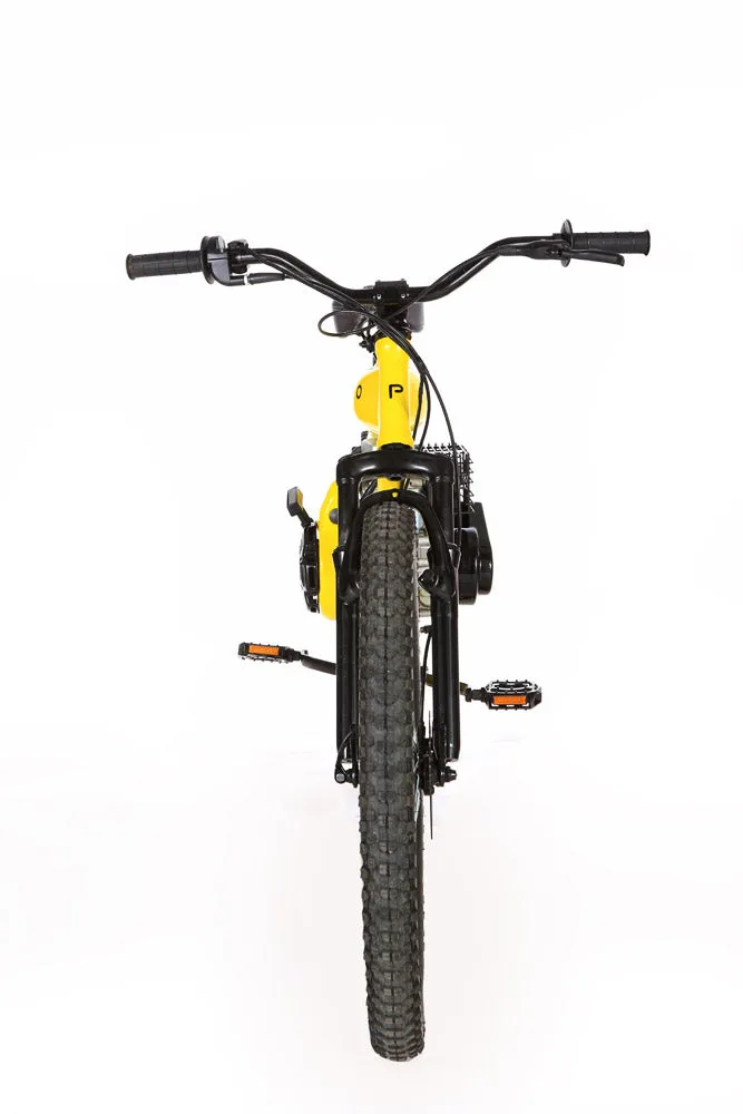 PHATMOTO™ Rover 2019 - 79cc Motorized Bicycle