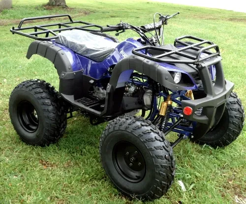 RPS Desert 200 Utility 200ATV-21 Adult ATV - 149cc, Automatic, Reverse, 21" Tires, Dual Racks, LED Lights