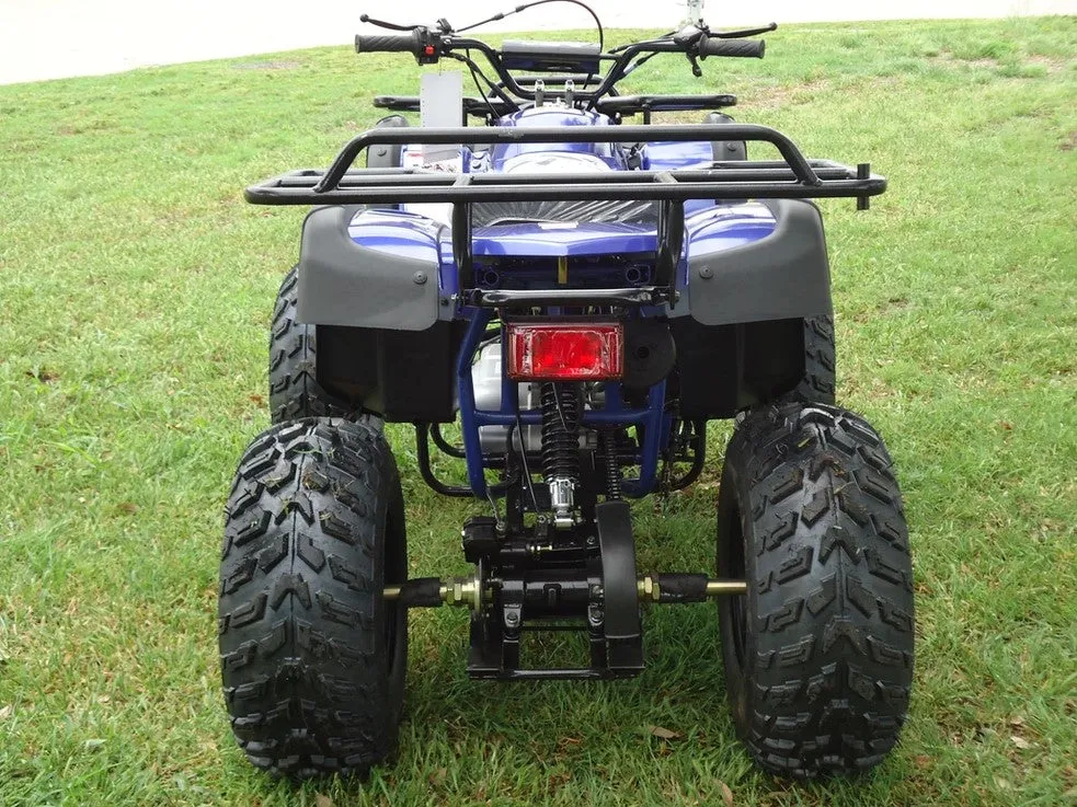 RPS Desert 200 Utility 200ATV-21 Adult ATV - 149cc, Automatic, Reverse, 21" Tires, Dual Racks, LED Lights