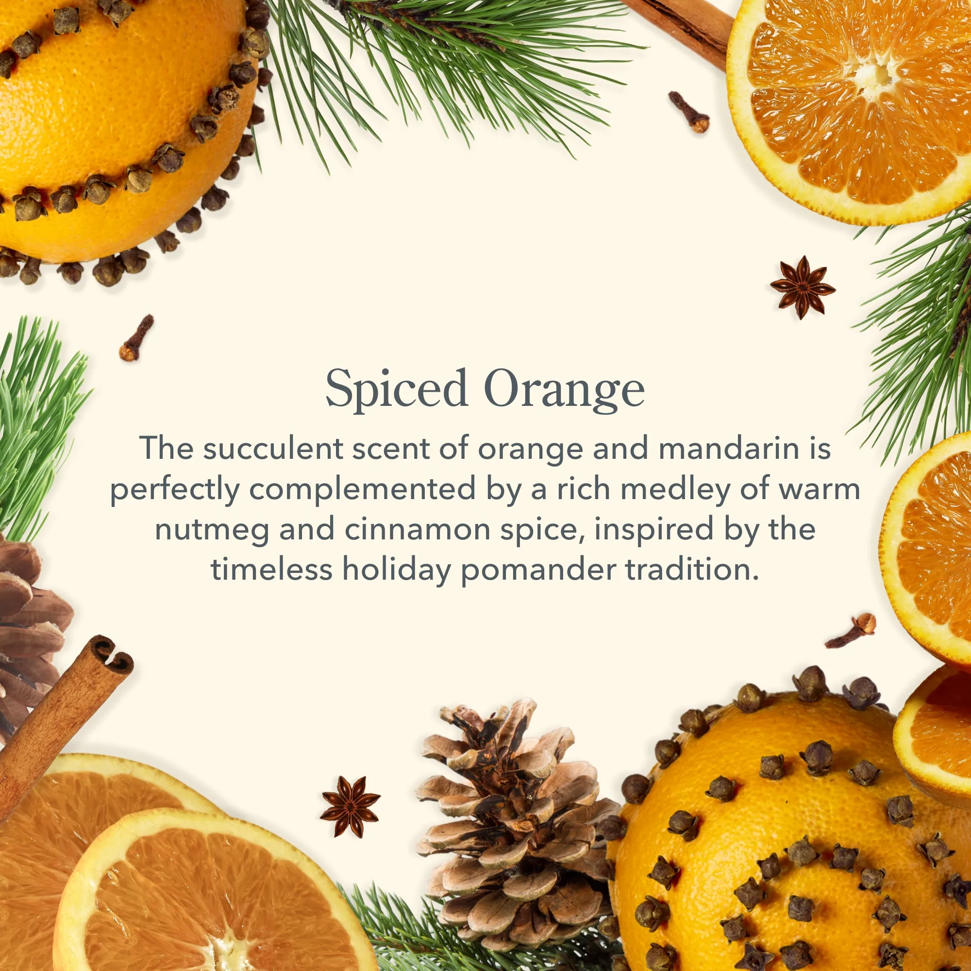 Spiced Orange Lip Balm