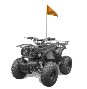 TrailMaster T125U Rancher ATV, 125cc, Automatic Transmission with Reverse, 19-Inch Tires, 8-Inch Rims